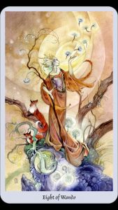 eight of wands tarot